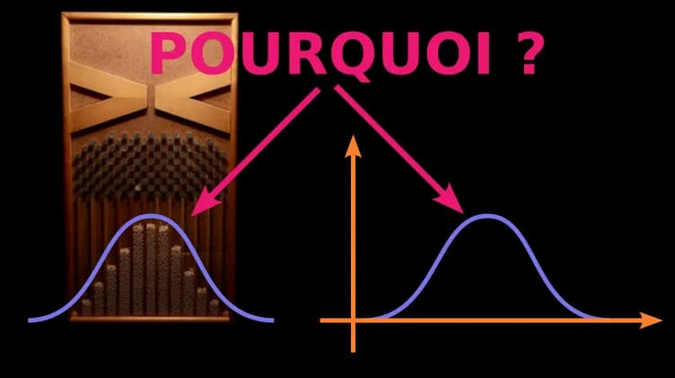 Du chaos émerge l’ordre. Lorsque les lois des probabilités sculptent le hasard